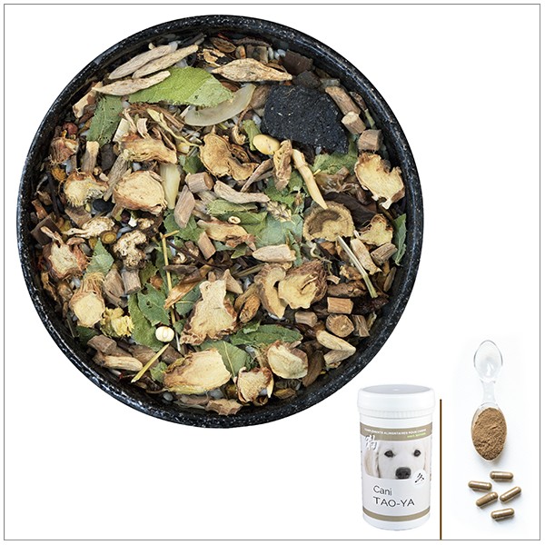 Cani TAO-YA - A utiliser en cas de mauvaise haleine, gingivite, Soif  excessive, constipation - pour chien